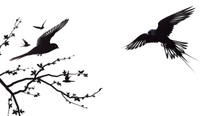 A pair of swallows flying with a clear spring sky as a theme, isolated on white background, cut out 