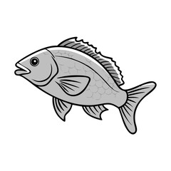 black drum vector icon, fish vector illustration - simple illustration of black drum perfect for logos, and fish - themed designs.