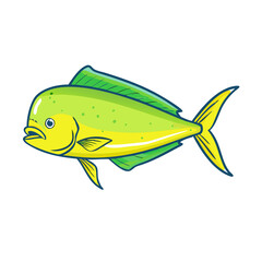 dorado mahi mahi vector icon, fish vector illustration - simple illustration of dorado mahi mahi perfect for logos, and fish - themed designs.