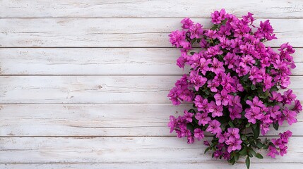 Fototapeta premium Purple flowers on rustic white wood background.