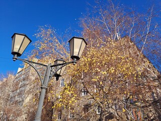 street lamp in the park