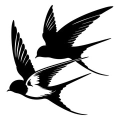 Obraz premium Swallows Silhouette Line art isolated white background