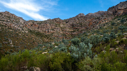 The high mountain face and rocks that make up many mountain ranges in the Western Cape, South Africa. Red and white rocks with fynbos and Waboom trees.
