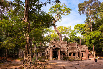 Obraz premium Angkor ancient temple ruins with trees in Cambodia