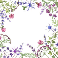 Floral frame of the wildflowers painted in watercolor: clover, lavender, ivy and thistle. Elegant botanical design for greeting cards and invitations, coasters, packaging, scrapbooking