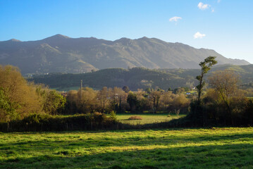 Obraz premium Pradera de pasto verde frente a Sierra del Sueve en Asturias en día de iniverno