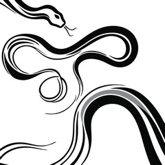snake line vector illustration white background