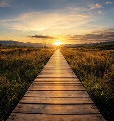 Fototapeta premium A wooden bridge spans a field of tall grass