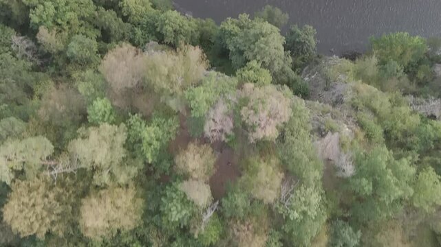 Aerial video over a river in the area of ​​Trocnov Borovany Czech