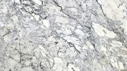 A high-resolution image of white marble with subtle gray veining, offering an elegant and timeless background