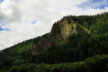 landscape with trees and clouds