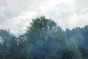 landscape in the mountains