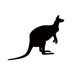 Wild Shadows: The Art of Animal Silhouettes