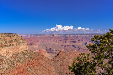 Grand Canyon and Clouds with a blue background Landscape 