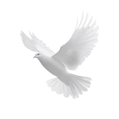 Fototapeta premium A white dove flying against a plain background.