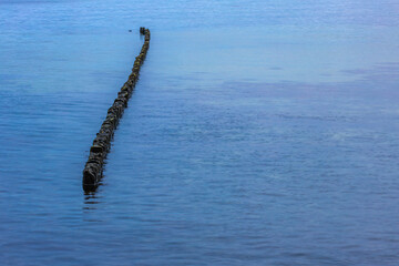 Wooden breakwater at the beach on the Baltic Sea