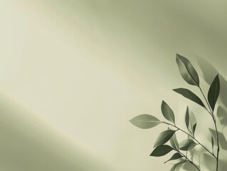 Green leaves cast shadows on a pale green background