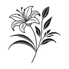 Lily Flower Silhouette Illustration Vector Graphic Design