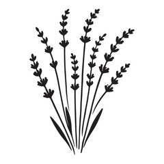 Silhouette of Lavender Flowers