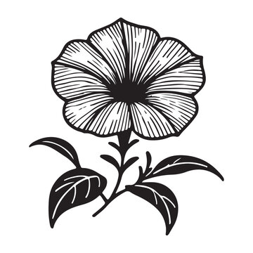 black and white flower drawing clip art preview