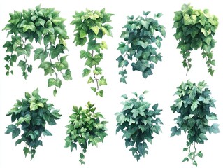 Obraz premium A collection of various green ivy plants in different arrangements and styles.