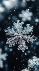 A close-up of a snowflake with a delicate, intricate design against a dark background.