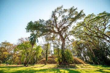Majestic rainforests around Quirigua, a Mayan city located in Guatemala.