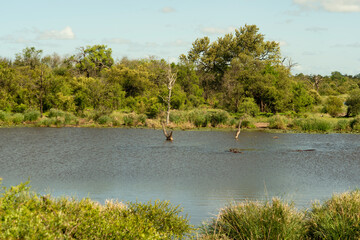 Parc national Kruger, Afrique du Sud
