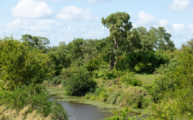 Parc national Kruger, Afrique du Sud