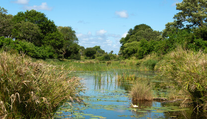 Parc national Kruger, Afrique du Sud