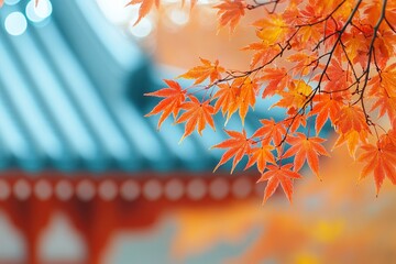 Vibrant autumn leaves contrast against a blurred architectural background.