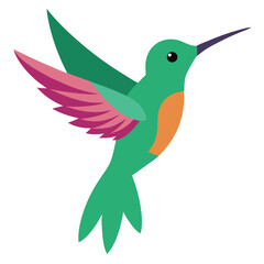 hummingbird 
