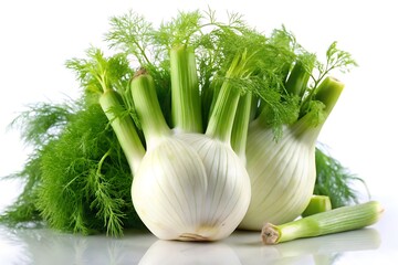 A close-up of a whole fresh fennel bulb with its green stems, lying on a white surface with a reflection.