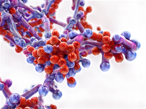 A molecular visualization of an antibody binding to an antigen.
