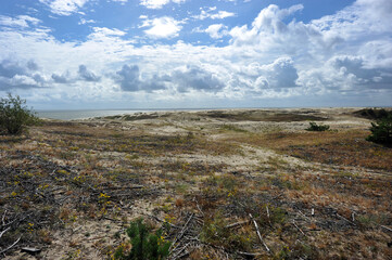 view of the Curonian Spit