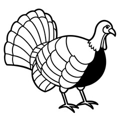 Turkey on white background
