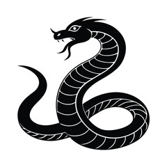 black and white snake