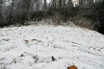Winter snow falls in the Gatlinburg Mountains of Tennessee