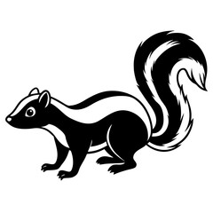 Skunk on white background
