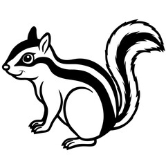 Chipmunk on white background