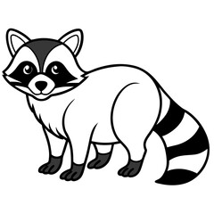 Raccoon on white background