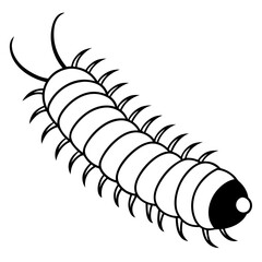Millipede on white background