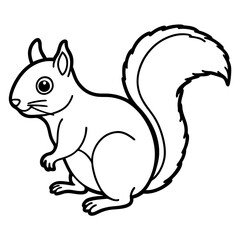 Squirrel on white background
