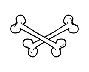 Crossbones isolated. Anatomical part of skeleton