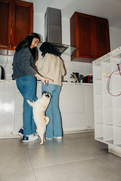 UGC direct flash dog eating