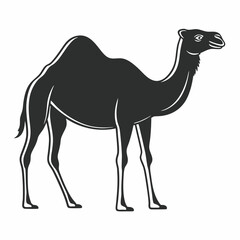camel in the desert