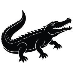 crocodile isolated on white