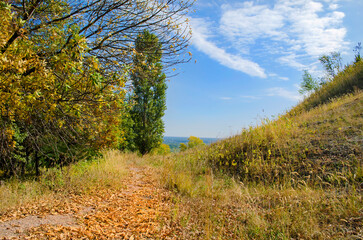 A peaceful  path covered in autumn leaves, surrounded by colorful trees and grassy hills under a vibrant blue sky.