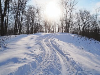 Obraz premium Snowy Path Through Winter Woods Sunlight