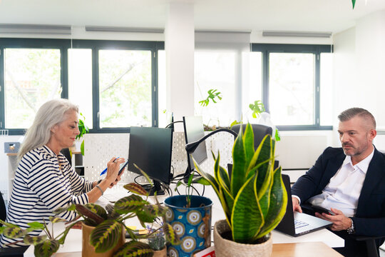 Colleagues Working Separately in a Modern Office